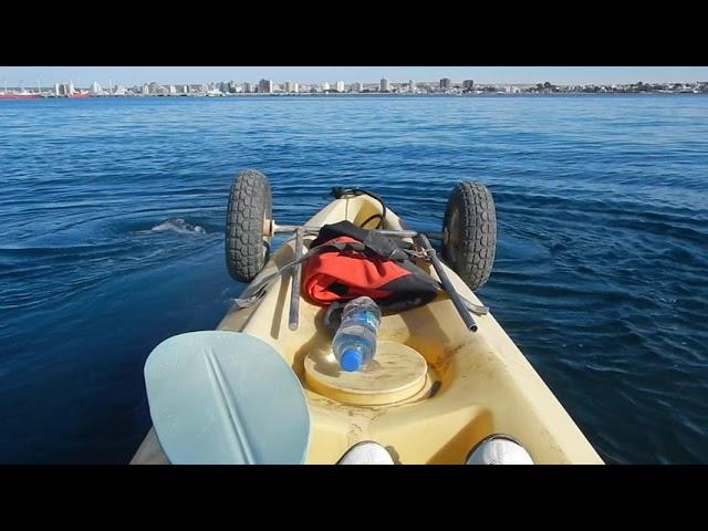 Ballena y kayak en Puerto Madryn, Patagonia Argentina