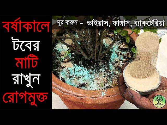 বর্ষাকালে টবের মাটি রাখুন রোগমুক্ত / Plant Soil Care for Monsoon / Roof Gardening