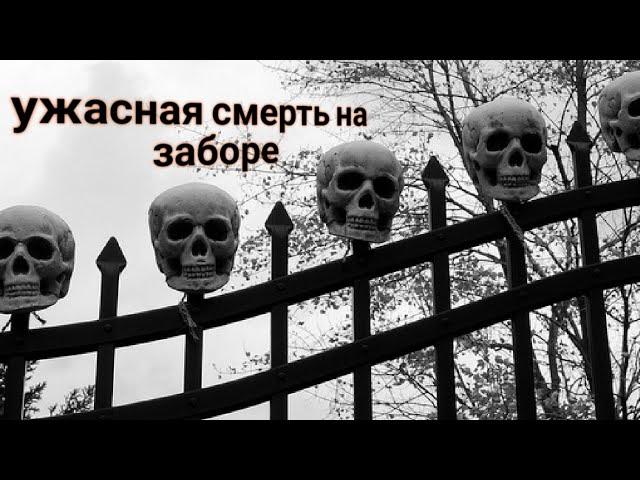 ЭНЕРГОИНФОРМАЦИОННЫЙ ГИПНОЗ. Ужасная смерть на заборе.