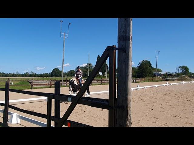 western dressage basic level 3.               22 aug 2021. Linda jakobsson,  Amor.