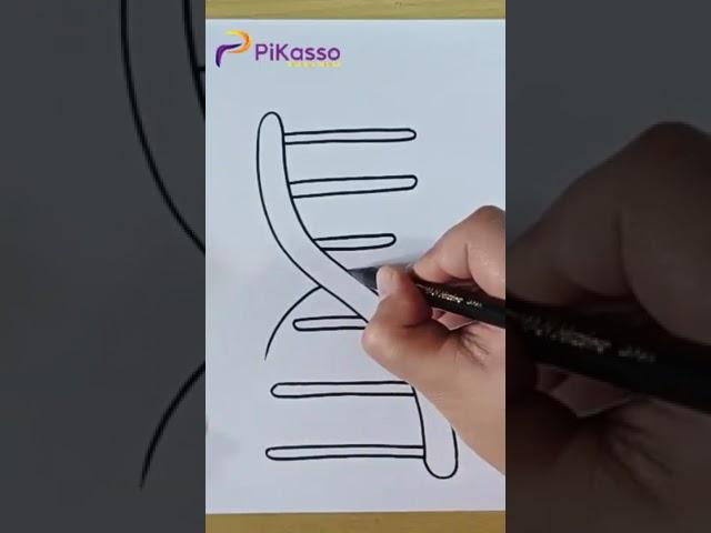 How to Draw a DNA Easy in Less Than One Minutes