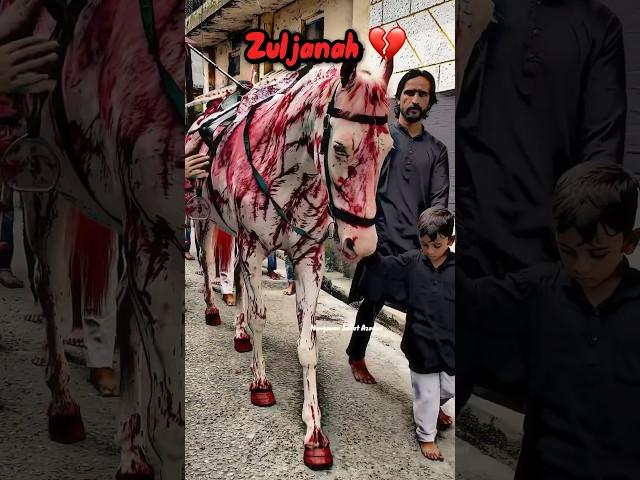 Zuljanah #shorts #explore #videos #zuljanah #azadari #muharrm #karbala #viral #trending