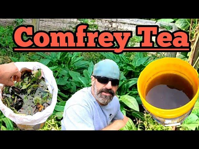 Comfrey Tea - our 7 day recipe - natural fertilizer