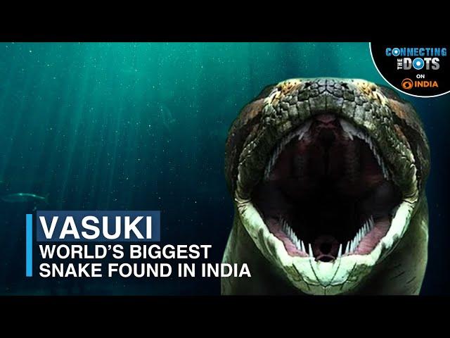 From Myth to Reality: World’s Biggest Snake ‘Vasuki’ Discovered in India | Connecting The Dots