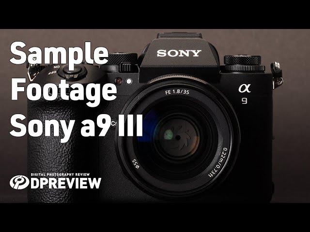 Sample Footage of the Sony a9 III | DPReview Test