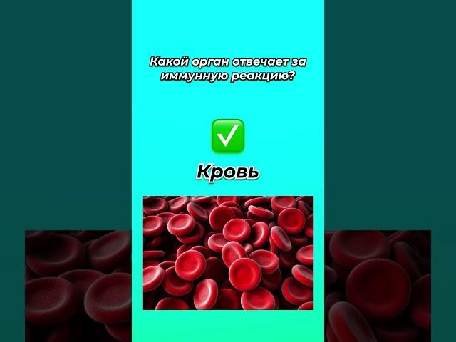 Блиц-опрос по анатомии #егэ #биология #shorts