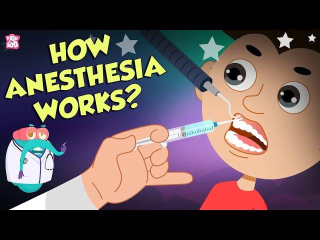 How Does Anesthesia Work? | Types Of Anesthesia | Dr Binocs Show | Peekaboo Kidz