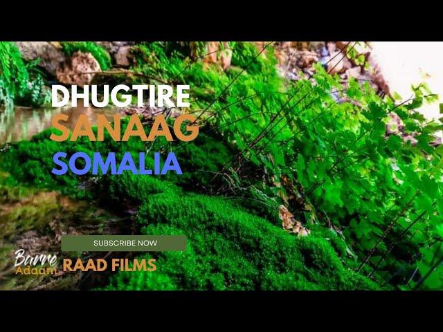 Togga Dhugtire , laasqoray , Sanaag , Somalia , daawo quruxda iyo bilicda.