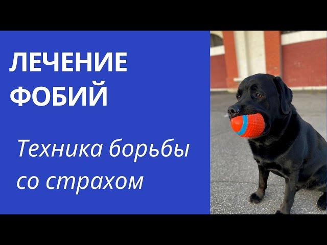 Как преодолеть СТРАХ и ТРЕВОГУ