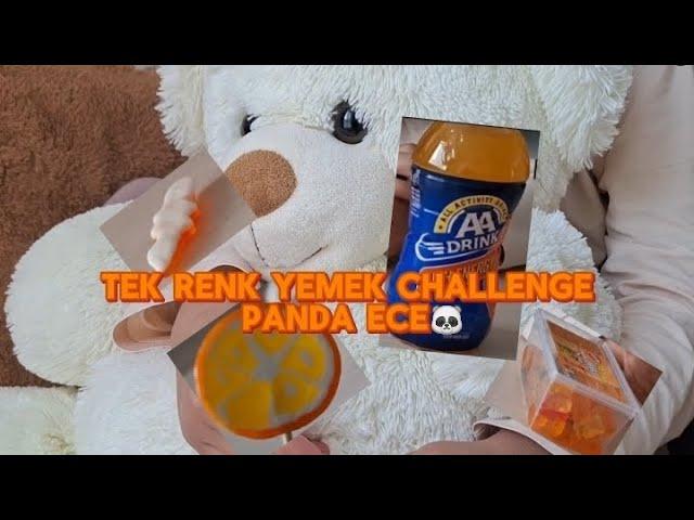 TEK RENK CHALLENGE | Panda Ece