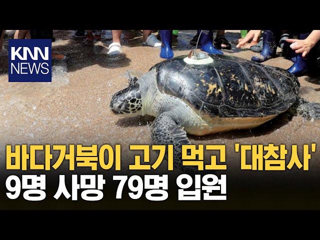 탄자니아에서 바다거북 고기 먹고... / KNN