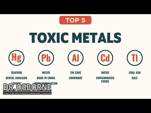 Top 5 Toxic Metals