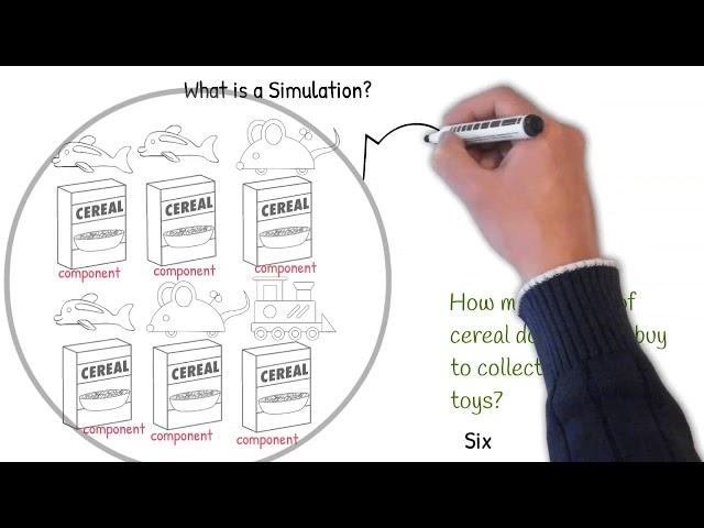 What is a Simulation?