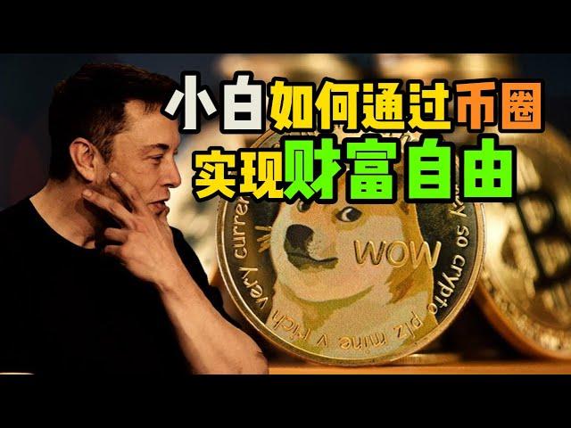 加密纯小白如何利用币圈实现财富自由？