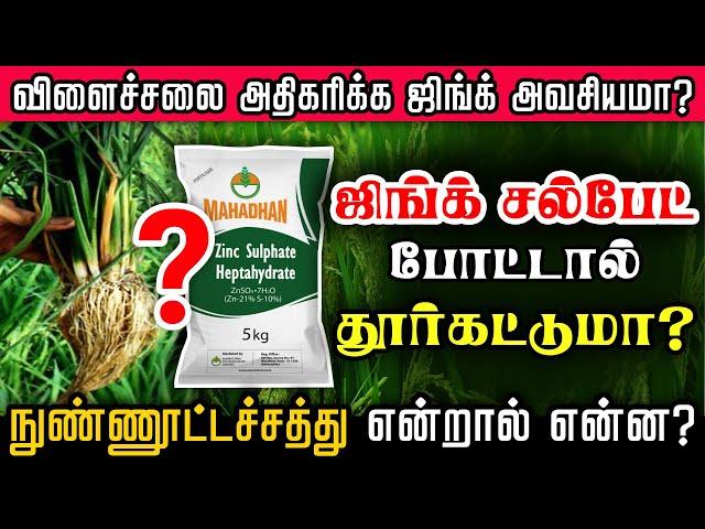 3 ஆம் நாளில் ஜிங்க் சல்பேட் போடுவது ஏன் ?| நுண்ணூட்டம் போட்டால் தான் பயிர் வளருமா? | Zinc Sulfate