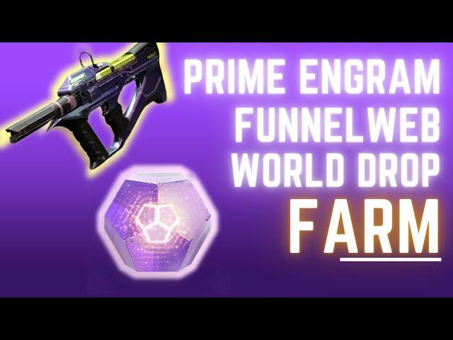 FUNNELWEB/PRIME ENGRAM/POWER FARM DESTINY 2