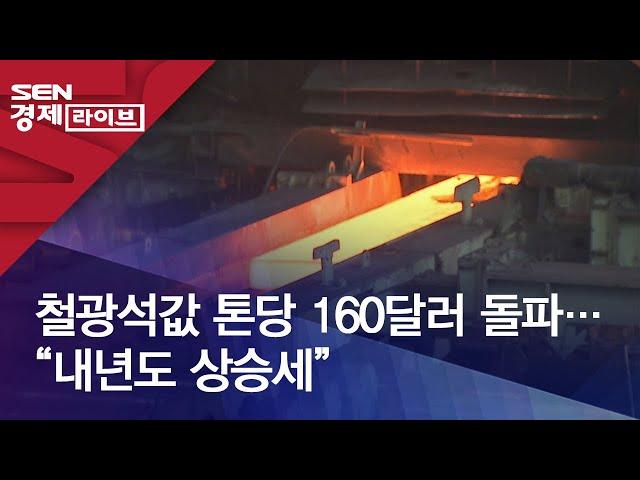 철광석값 톤당 160달러 돌파…“내년도 상승세”