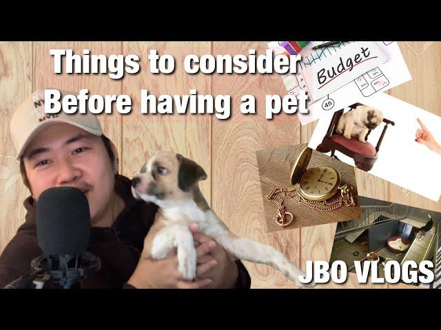 Things to consider before having a pet | JBO Vlogs