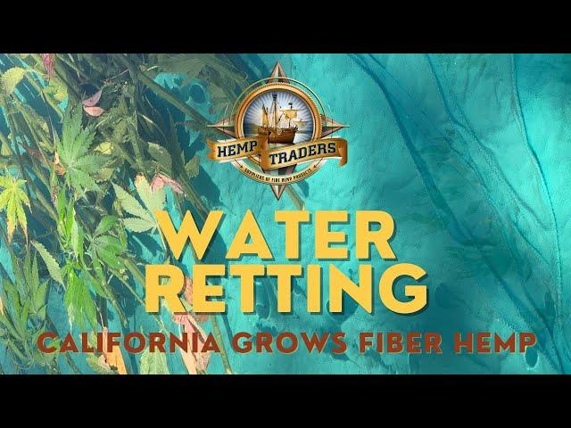 Hemp Water Retting