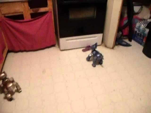 I-Cybies Roaming