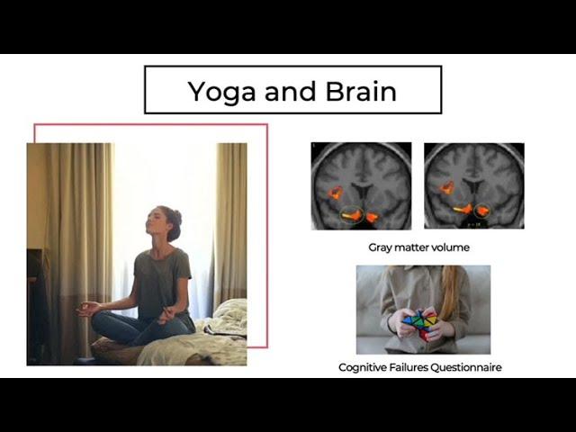 Can Yoga Change Our Brains?
