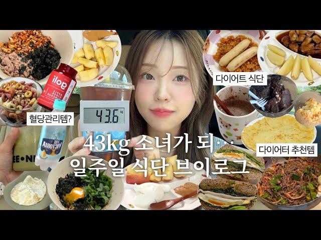 살이 계속 빠지는.. 내가 일주일동안 먹은것들 / 존맛 다이어트 레시피•다이어터 추천템•혈당 다이어트 / 다이어트식단 브이로그 / 마켓컬리 추천템 / diet vlog / 윤이든