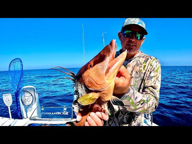 The Hardest Fish to Catch on Rod and Reel (Catch Clean & Cook)