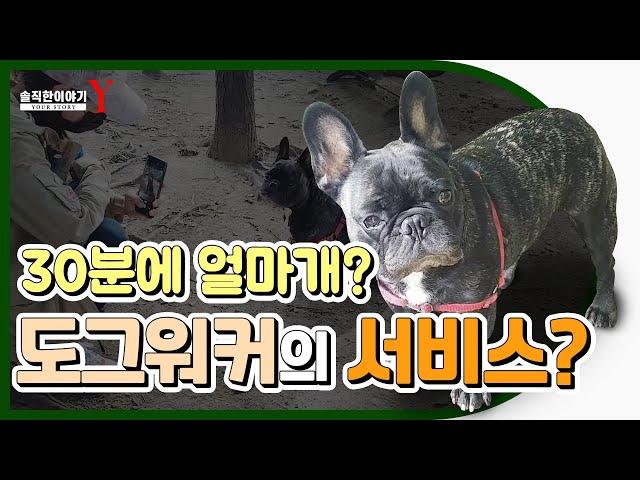 30분에 얼마개? 도그워커의 서비스?