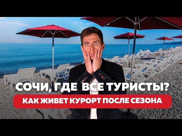 Стоит ли ехать в Сочи в несезон? Плохая идея или лучшее время для отдыха? #отдыхвсочи #сочиосенью