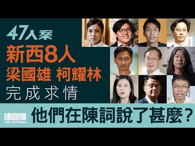 47人案求情｜新西8人、梁國雄、柯耀林完成求情　他們在陳詞說了甚麼？