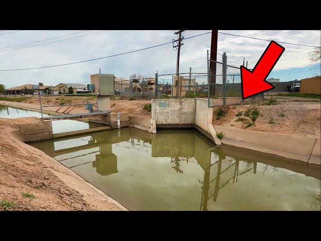 There Were TOO MANY FISH In This MICRO SPILLWAY