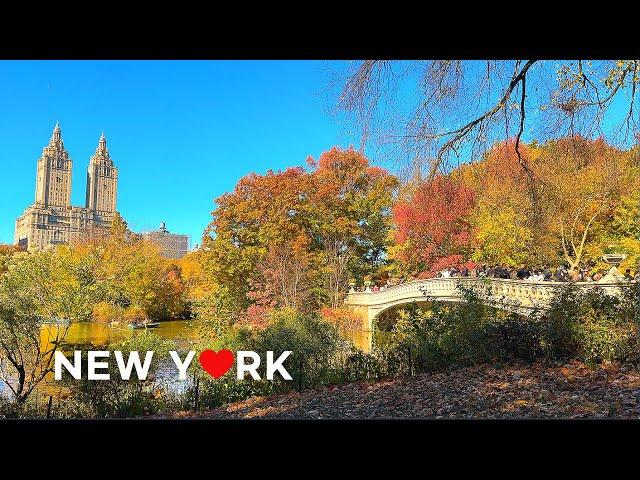 [4K] NYC Walk: Embrace the Autumn Vibes in Central Park & the Upper East Side, NYC  Oct. 2024.