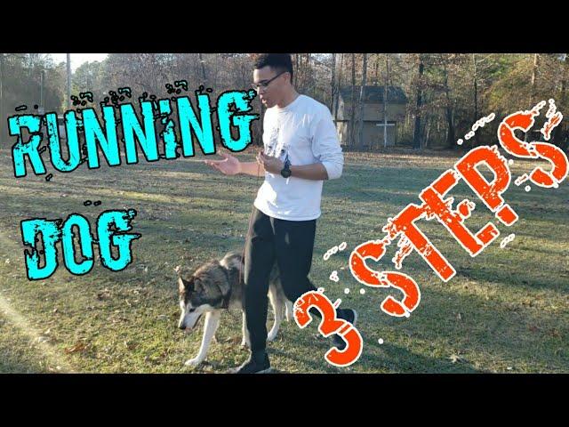 How to train your dog to jog with you ! (3 steps)