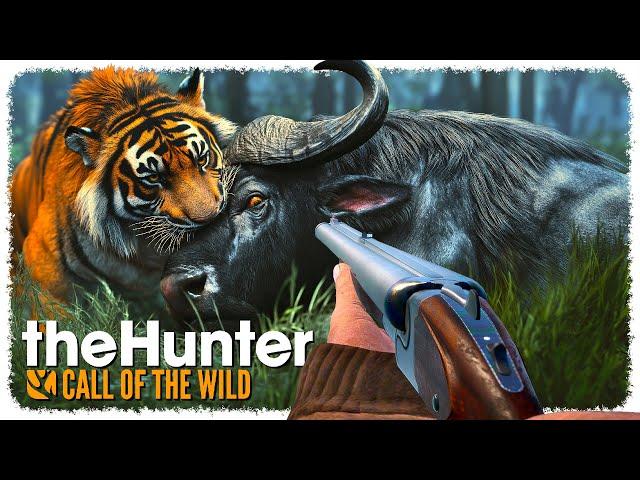 Using the MOST POWERFUL GUN to hunt EVERYTHING (ᵗʰᵉʸ ᵗᵘʳⁿ ᵗᵒ ʳᵉᵈ ᵐᶦˢᵗ) | theHunter: Call of the Wild