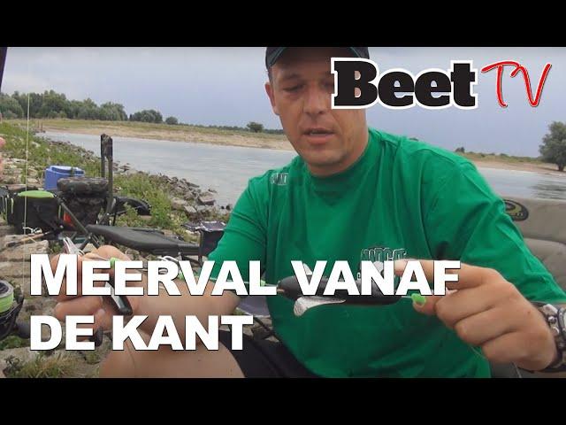 Vistips: meerval vissen vanaf de kant met Roy Noom  |  Beet