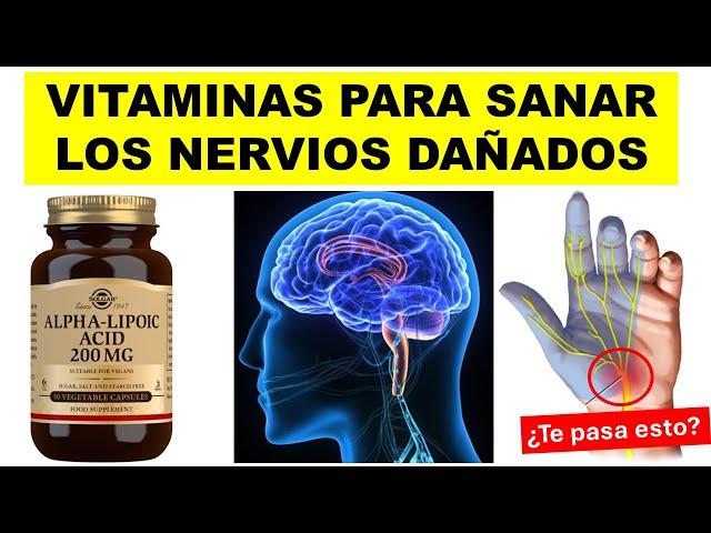  VITAMINAS que SANAN los NERVIOS DAÑADOS | Dolor y hormigueo de PIES y MANOS