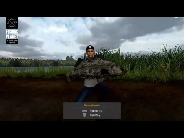 Fishing Planet Angeln Delta San Joaquin, River Fluss Monster Gourmet Barsch #chill stream