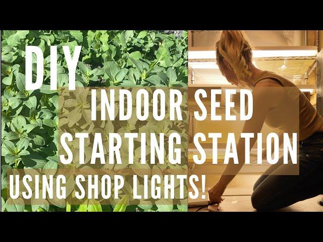 DIY Indoor Seed Starting Station: Affordable Setup with Shop Lights!