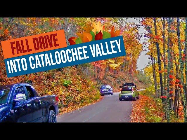 Busy Fall Drive into Cataloochee Valley