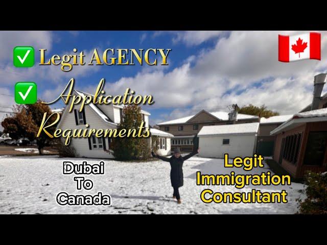 7 | Dubai Legit Agency + Requirements