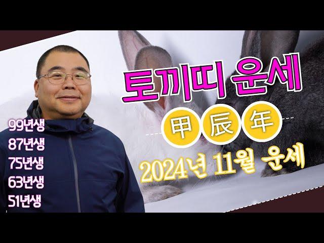 2024년 11월 토끼띠 안정적이면서 상승하는 환경인데..ㅣ갑진년 토끼띠운세 99년생 87년생 75년생 63년생 51년생