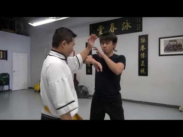 Wing Chun Lap Sao " Real reaction training"