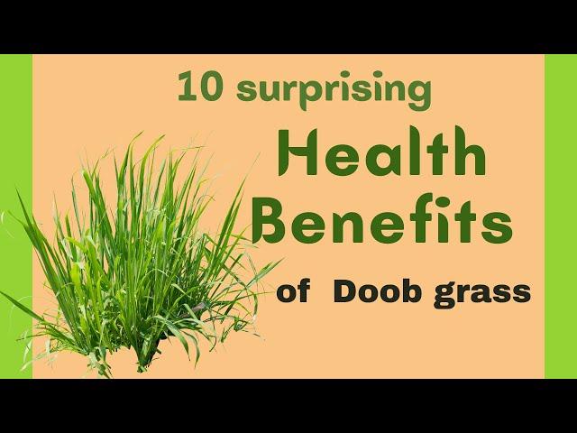  Unlocking the Spiritual Power of Durva Grass  | Health benefits of Durva grass