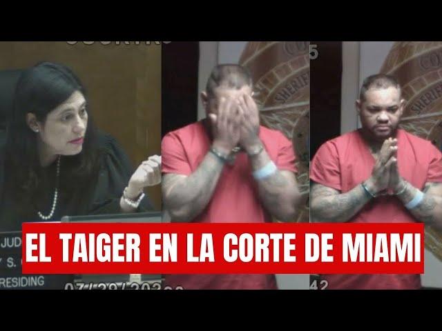 El CARA a CARA de la Jueza Mindy Glazer y el Reguetonero Cubano José Manuel Carvajal, El Taiger