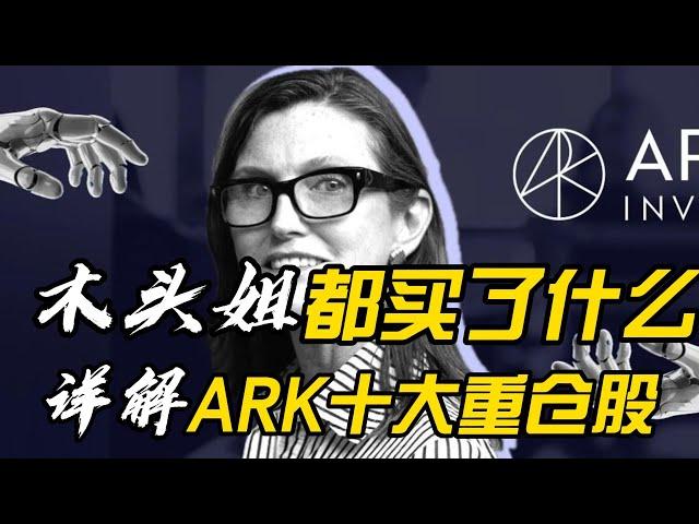 木头姐ARK基金10大重仓股票详解！有股票要翻7倍？#美股 #股票 #投資 #股市 #财经 #股票走势 #特斯拉 #roku #pltr #shopify #circle #稳定币