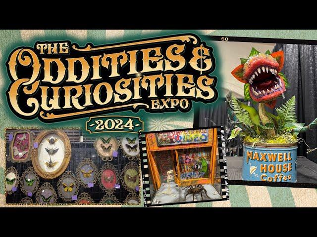 ODDITIES and CURIOSITIES EXPO 2024 - San Diego | A Strange, Bizarre & Unusual Expo