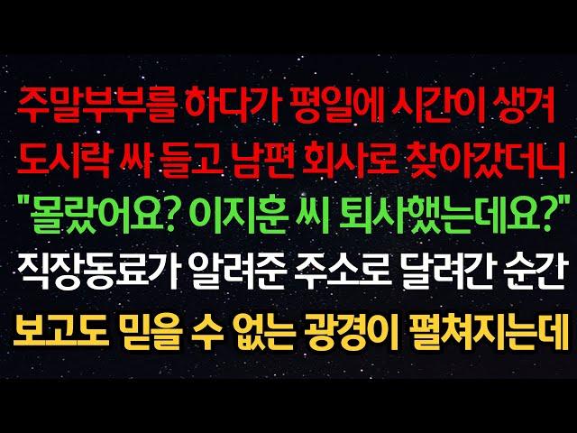 실화사연- 주말부부를 하다가 평일에 도시락 싸 들고 남편 회사로 찾아갔더니 “이지훈 씨 퇴사했는데요?” 직장동료가 알려준 주소로 달려간 순간 보고도 믿을 수 없는 광경이 펼쳐지는데
