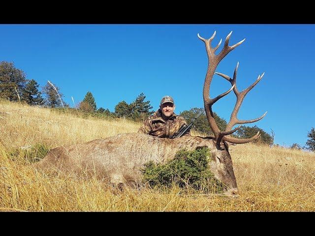 ANATOLIAN RED STAG HUNTING JENS KJAER KNUDSEN & RECEP ECER
