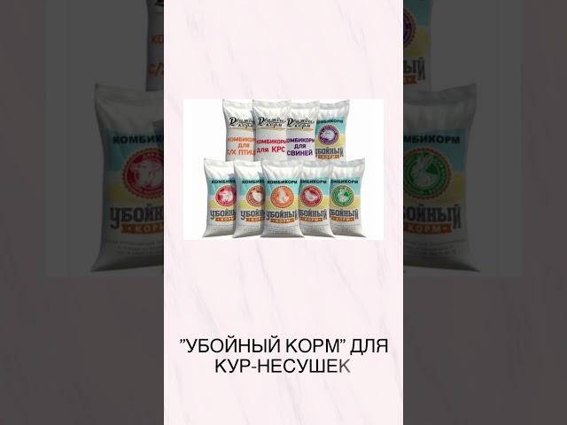 "Убойный корм" для кур-несушек