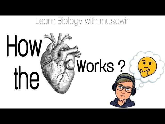 How the heart works ?  | learn Biology with musawir| #heart #humanheart